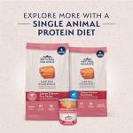Natural Balance Puppy Dry Food, Salmon & Rice