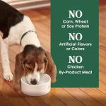 Nutro Wholesome Essentials Puppy Food with Chicken