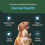 VetriScience Dental Health Powder for Pets