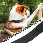 Adjustable Military Tactical Dog Collar for Large Dogs
