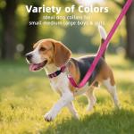 Erbine Hot Pink Reflective Dog Collar for Large Dogs