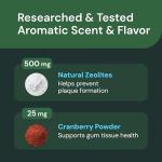 VetriScience Dental Health Powder for Pets