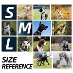 Adjustable Padded Dog Collar with Reflective Logo