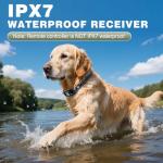 ELOOP 2-in-1 Smart Dog Bark Training Collar