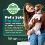 VetriScience Dental Health Powder for Pets