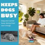 Durable Dog Toy for Aggressive Chewers with Hidden Treats