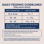 Natural Balance Small Breed Dry Dog Food, 12 lbs