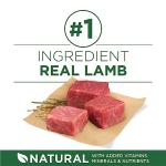 Purina ONE Small Breed Lamb & Rice Dog Food