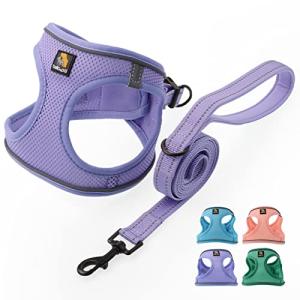 Bella & Pal Adjustable No-Pull Dog Harness and Leash