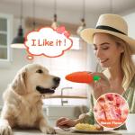 Indestructible Squeaky Dog Toys for Aggressive Chewers