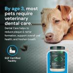 VetriScience Dental Health Powder for Pets