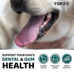 Dog Dental Powder for Fresh Breath and Clean Teeth