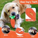Indestructible Squeaky Dog Toys for Aggressive Chewers