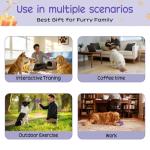 Interactive Puzzle Toy for Intelligent Dogs