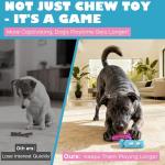Durable Dog Toy for Aggressive Chewers with Hidden Treats