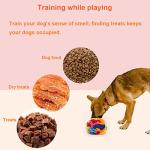 Sniffing Ball for Small Dogs - Interactive Toy