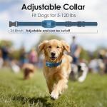 Jugbow 3-Dog Remote Training Collar, 4200FT Range