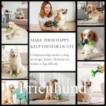 Durable Chew Toys for Large Dogs - 9-Pack