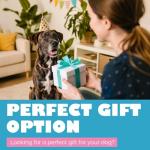 Durable Dog Toy for Aggressive Chewers with Hidden Treats