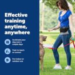 PetSafe Clik-R Clicker Training Tool for Dogs