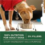 Purina ONE Small Breed Lamb & Rice Dog Food