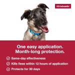 K9 Advantix Flea & Tick Treatment for Large Dogs