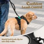 Rabbitgoo No-Pull Dog Harness with Reflective Clips