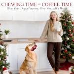 Apasiri Tough Beef Flavor Dog Chew Bone