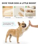 Foldable Dog Stairs and Ramp for Small Pets