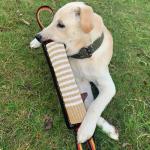 ASOCEA Interactive Tug Toy for Medium to Large Dogs