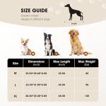 Czpalo Elevé Dog Bed for Large Dogs