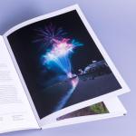 Smart Dog Photo Ideas for Stunning Shots