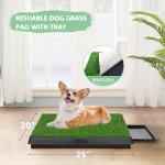 Dog Grass Pad with Tray for Puppy Training