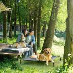EHEYCIGA Elevated Dog Cot for Large Dogs