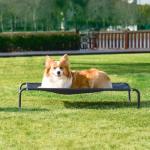 EHEYCIGA Elevated Dog Cot for Large Dogs