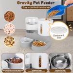 Automatic 2-in-1 Pet Feeder and Water Dispenser