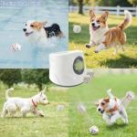 Automatic Ball Launcher for Small to Medium Dogs