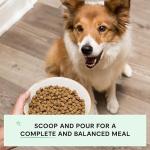 Open Farm Grain-Free Wild-Caught Salmon Dog Food