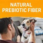 Purina Beyond Grain-Free Wet Dog Food - Chicken, Carrot, Pea