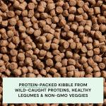 Open Farm Grain-Free Wild-Caught Salmon Dog Food