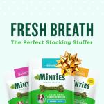 Minties Tiny Dog Dental Treats for Clean Teeth