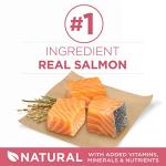 Purina ONE Sensitive Stomach Dry Dog Food 31.1 lb