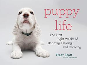 Puppy Life: Bonding and Growing in Eight Weeks