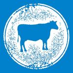 Dingo Soft Chewy Dog Treats with Real Beef & Chicken