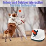 WIGGLYTAIL Automatic Ball Launcher for Small Dogs