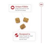 Royal Canin Dachshund Puppy Dry Dog Food 2.5 lb