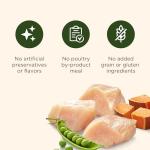 Rachael Ray Nutrish Grain-Free Chicken & Sweet Potato Dog Food