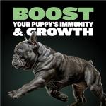 Bully Max High Protein Puppy Food - 5 lb