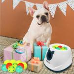 WIGGLYTAIL Automatic Ball Launcher for Small Dogs