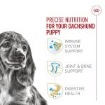 Royal Canin Dachshund Puppy Dry Dog Food 2.5 lb